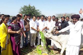 NIRAN KENDRA NU UTGHAN KARVAMA AVYU.