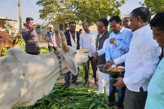 SHREE KVO JAIN MAHAJAN BHUJ AMARSONS BHAVAN NE 20 VARAS PURA NAVNEET NAGAR BHUJ MADHAY NIRAN KENDRA 