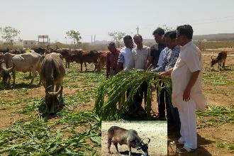 NIRAN KENDRA NE 3 VARAS PURA TATHA SANSTHA NA TRUSTREEO E MULAKT LAHI BHAVVANDHNA KARI. 