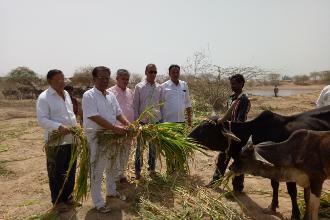 GUJARAT SATAPANA  DIVSNI  PURVA SANTHYAE NIRAN KENDRA NU UTGATAN KARVAMA AVYU.