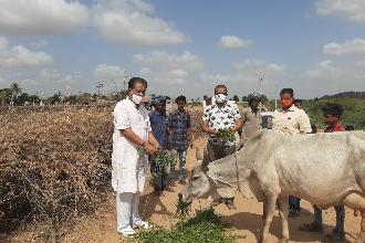 JIVDAYA E JAINO NI KULDEVI CHE TAYARE SHU SATHE MALI NE GHUMATANE BACHAVIYE.